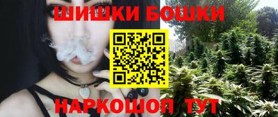 apvp Партизанск