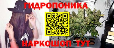 apvp Партизанск