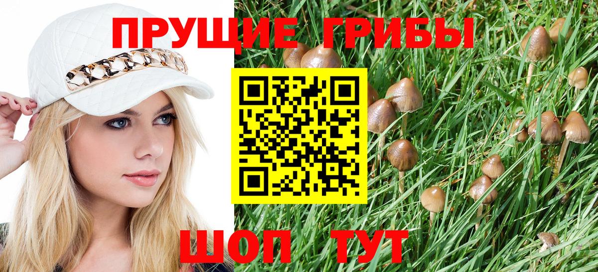 Псилоцибиновые грибы MAGIC MUSHROOMS  Псилоцибиновые грибы GOLDEN TEACHER  Вход с VPN  купить наркотик  Орёл 