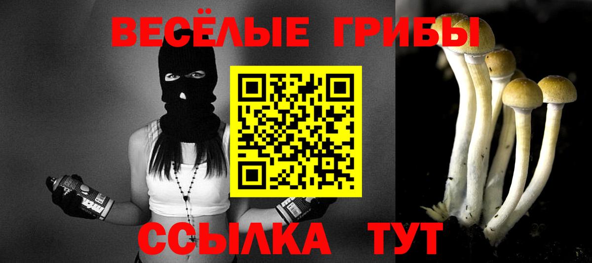 Псилоцибиновые грибы мухоморы Орёл