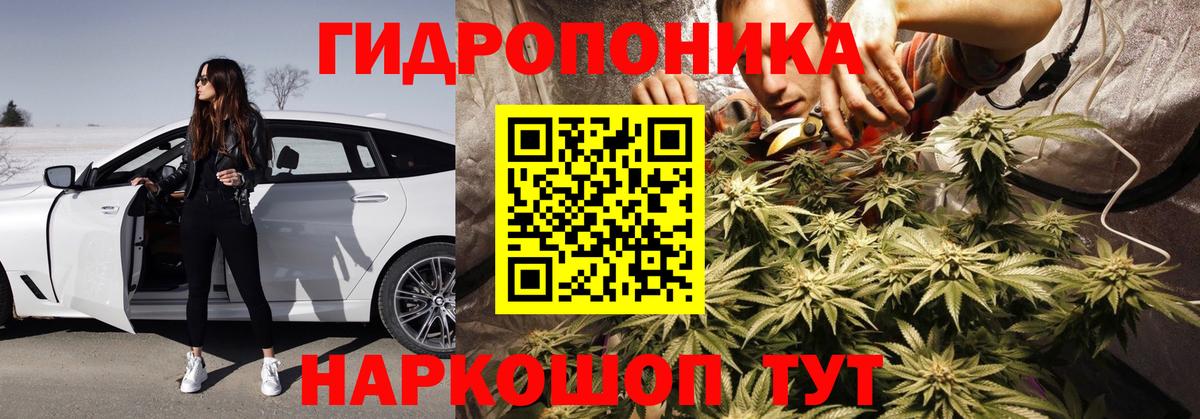 Каннабис Amnesia  Вход с VPN  Бошки марихуана план  МАРИХУАНА марихуана  Орёл 